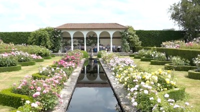 David Austin Rosegardens